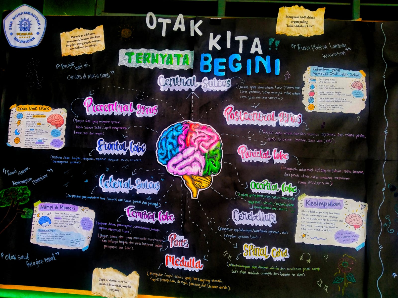 IPM Berkarya, Mading Edukatif Ajak Siswa Mengenal Otak Manusia